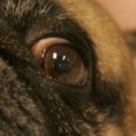 @hammer_guy - Instagram