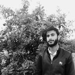 Harmonious Guy - @harmoniousguy - Instagram