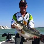 Guy Harvey - @guy1773 - Instagram