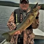 Guy Harvey - Facebook