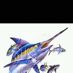 Guy Harvey - Facebook
