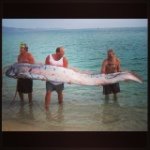 Guy Harvey Facebook Photos - @guyharveyfb - Instagram