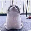 Hendrix Nguyen - @hendrix.nguyen4 - TikTok