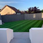 𝗧𝗵𝗲 𝗚𝘂𝘆 𝗛𝗼𝘂𝘀𝗲 - @the_guy_house - Instagram