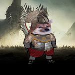 Nafo Fella - @guyfromlangley - Instagram