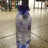 Guy Lev - @guy.lev11 - TikTok