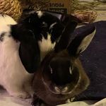 The Little Guy & Little Gal TH - @thelittleguys_th - Instagram