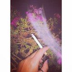 Guy Lynn - @stadtlageds - Instagram