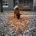 Guy Major - Facebook