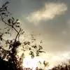Major.guy - @major.guy4 - TikTok