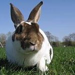 Guy Manning - @manning_guy - Instagram