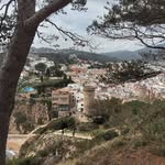 Guy Di Marino - @d13g0815 - Instagram