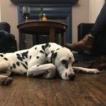 Guy Matthews - @guy.matthews.1848 - Instagram