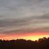 luhhthiny - @mayo.guy - TikTok