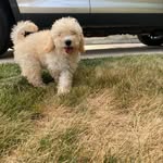 Guy B McElroy - @guybmcelroy - Instagram