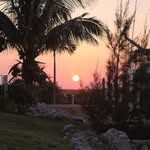 Guy Messer - @guydmesser - Instagram