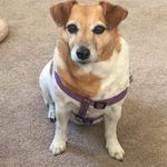 Libby Metzger - @guy.metzger.376 - Instagram