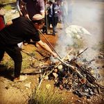 Guy Meyer - @meyer_guy - Instagram