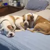 Guy MILLER - @guy.miller85 - TikTok
