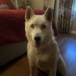 Guy miller - @_guy_miller_ - Instagram