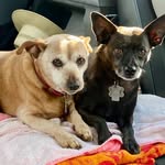 Bob D’Amato - @miners_guy - Instagram