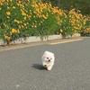 Guy_Murray - @guy_murray - TikTok