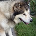 Guy Newman - @guy.newman.5 - Instagram