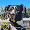 guynewman385 - @guynewman385 - TikTok