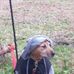 Guy Newsome - Facebook