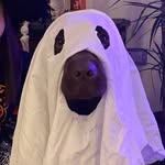 Guy Newton - @guy_tennessee_newton - Instagram