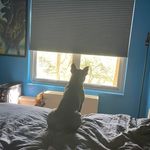 Guy Nolan Shoulders Jr - @nolan229 - Instagram