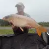 Guy Payne - @guy.payne53 - TikTok