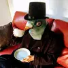 Pigeon guy - @pigeon.guy8 - TikTok