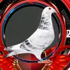 pigeon guy - @pigeon.guy92 - TikTok