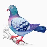pigeon guy - @that.pigeon.guy - Instagram