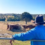 Guy Preston - @prestobets1 - Instagram