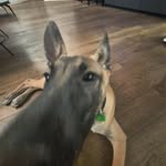 guyraz - @_guy_raz_ - Instagram
