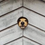 Guy Read - @guyread29 - Instagram