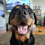 Reese Petersen - @little.guy.reese - Instagram