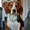 Guy Robitaille - @guy.robitaille - TikTok