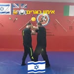 קרב מגע ולחימה משולבת - @rg_guy_ronen - Instagram