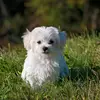 GuyJRucker - @guyjrucker - TikTok