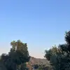 Rush - @guywhorushes - TikTok