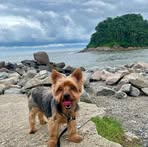 Guy Santos - Facebook