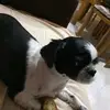 Giusy Scuderi - @giusy.scuderi0 - TikTok