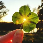 @guysilvermoon - Instagram