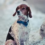 Pretty booring pictures - @little_guy_silver - Instagram