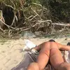 guysinclair420 - @guysinclair420 - TikTok