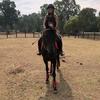 Amy Sizemore - @familyofhorses - TikTok