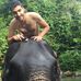 Guy Solomon - Facebook